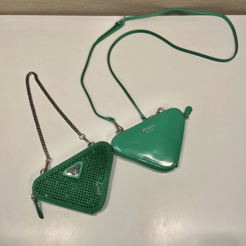 Pra*a triangle pouch